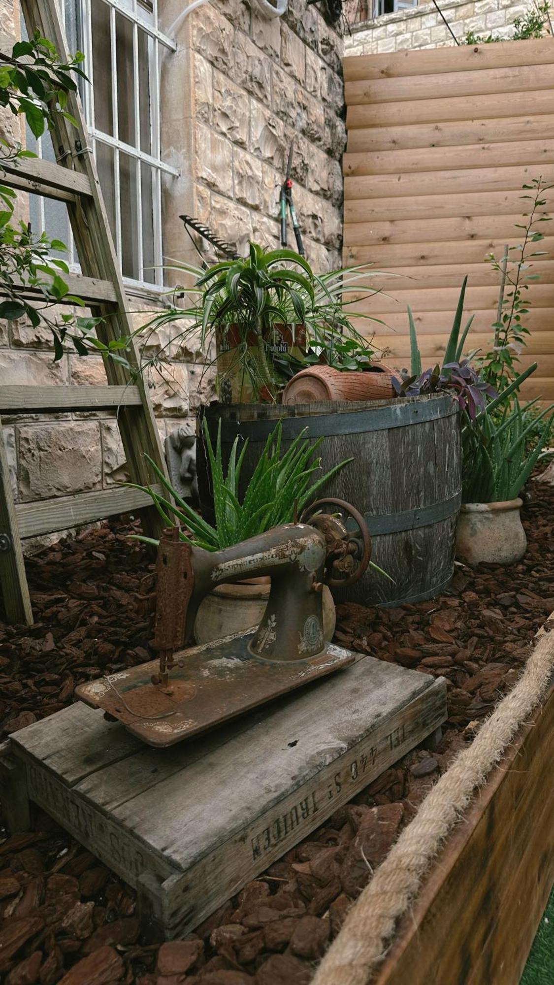 Dream House Art Hostel Garden And Terrace Haifa Exterior photo