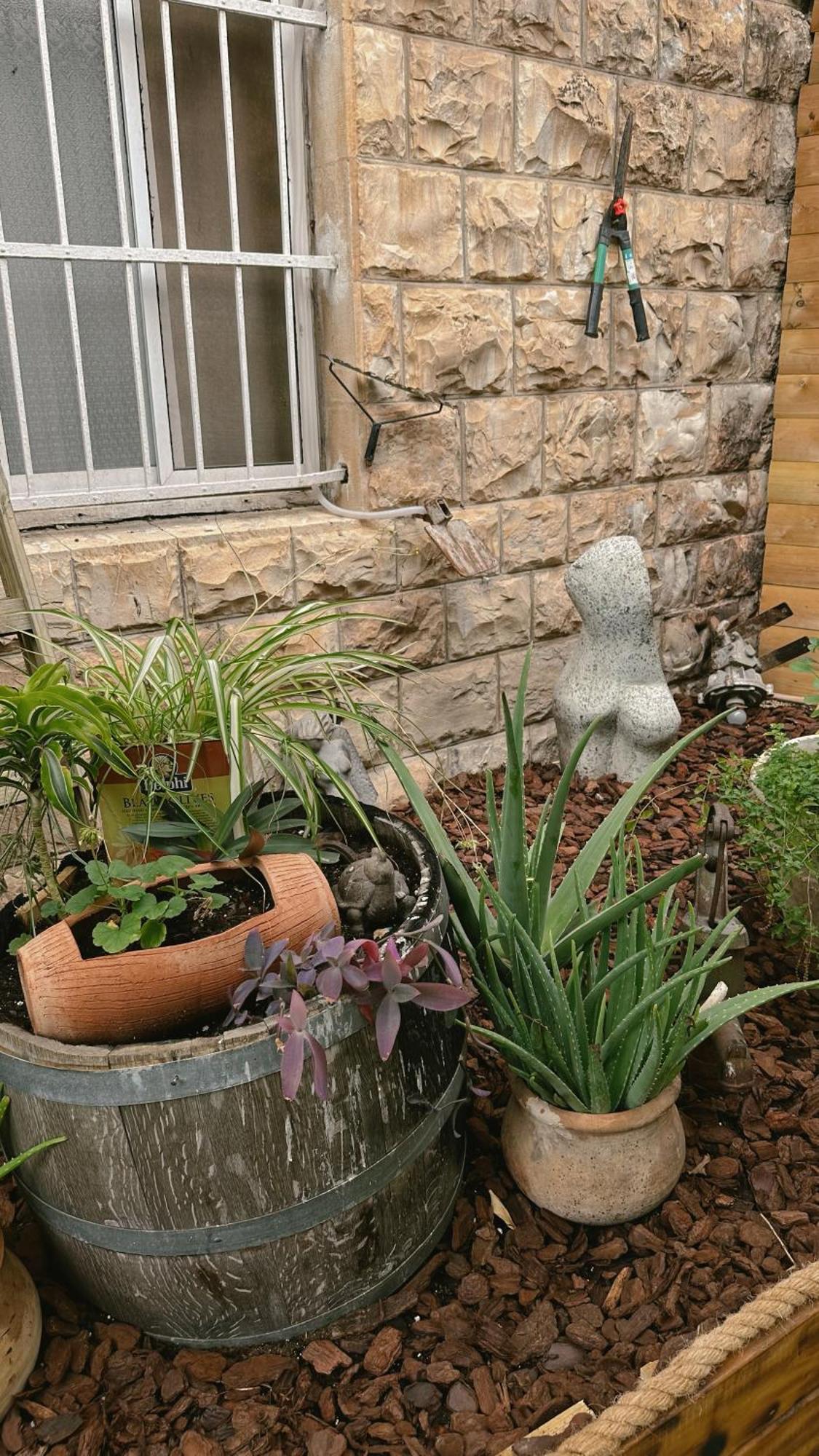 Dream House Art Hostel Garden And Terrace Haifa Exterior photo